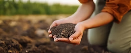 Hands holding rich compost soil